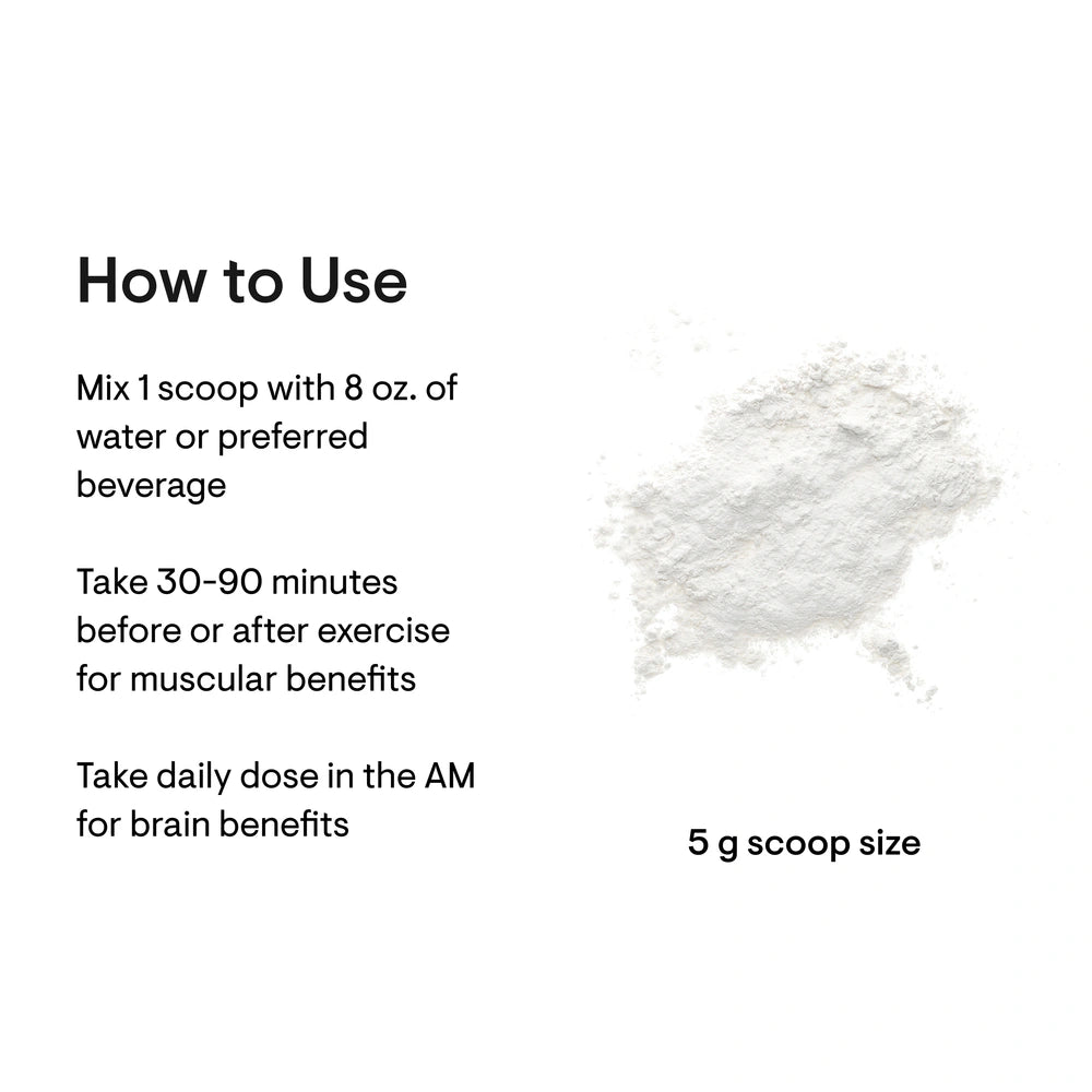 Thorne Creatine monohydrate powder, 90 servings – how to use and daily serving
